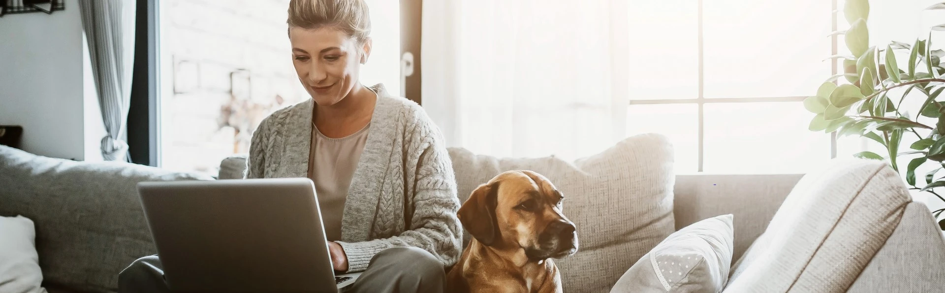 A lady working at a laptop on her sofa, with a dog next to her