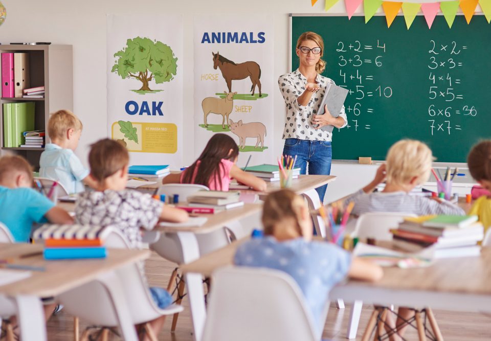 Education candidate